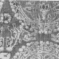 ジャカード織物